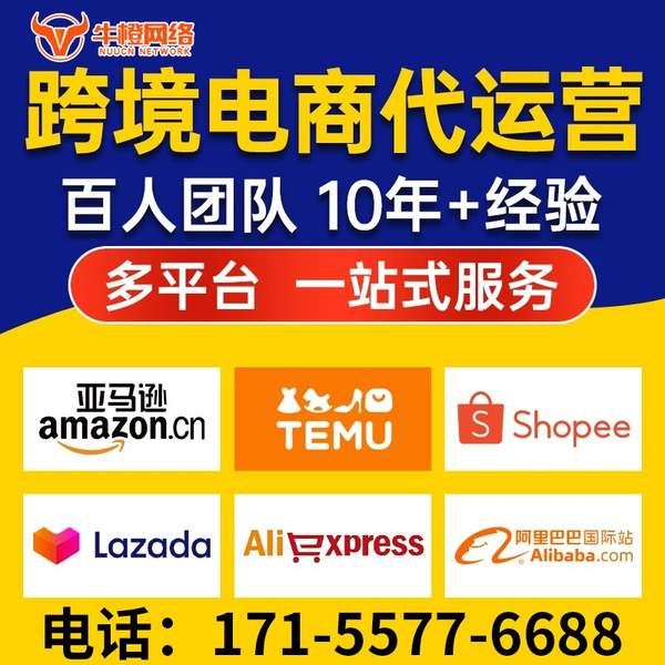 外贸电商代运营